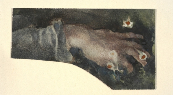  Cyprian Kamil  Norwid "Ręka złożona na trawie z kwiatami" (1861-1883  r.)  