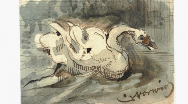  Cyprian Kamil Norwid "Biały łabędź" (1841-1883 r.)  